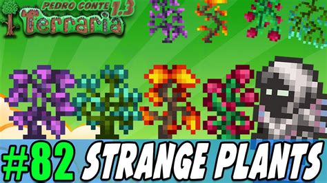 strange plant calamity.